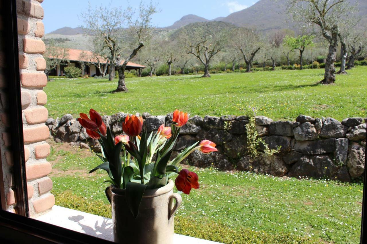 Agriturismo Il Castagneto Падула Екстер'єр фото